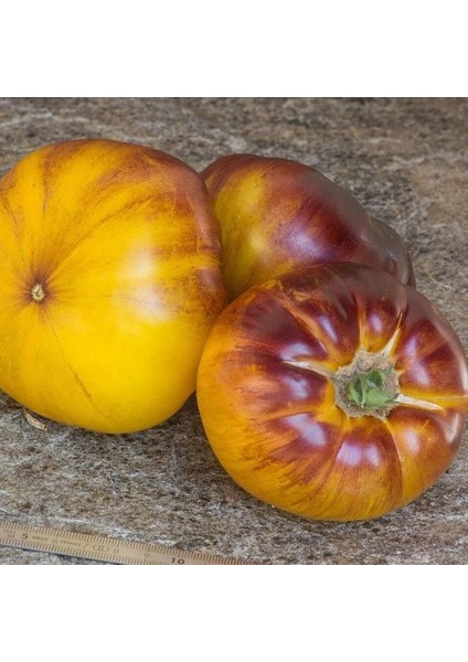 Nadir Çizgili Volvarina Domates Tohumu (15 Tohum)