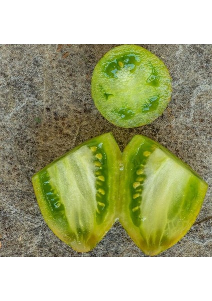 Dwarf Saucy Mary Yeşil Sarı Alacalı Etli Domates Tohumu (15 Tohum) fiyatları