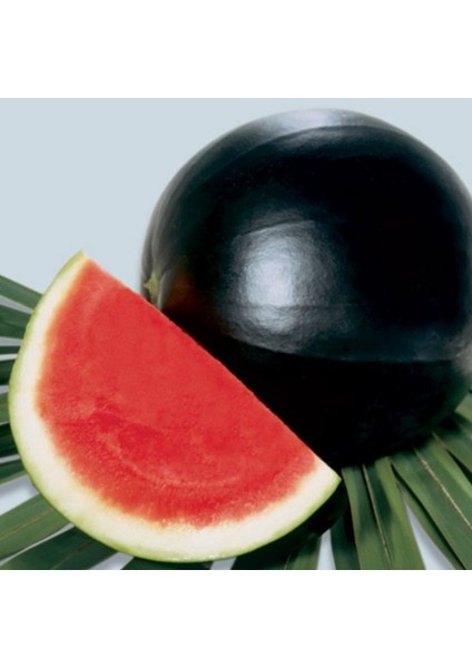 Geleneksel Tohum Siyah Washington Karpuz Tohumu (20 Tohum)