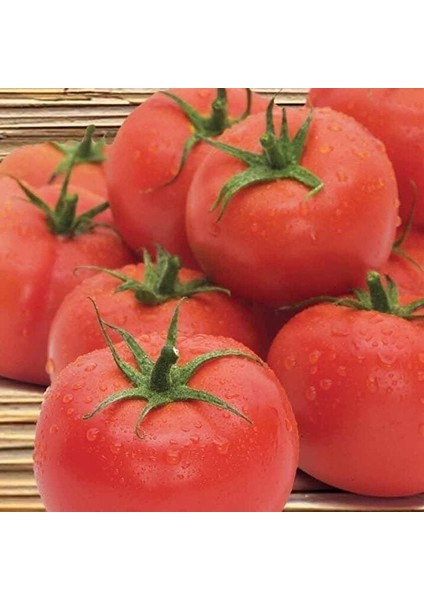Geleneksel Ince Kabul Etli 2274 Domates Tohumu (50 Tohum)