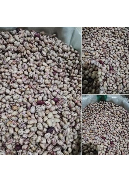 Ata Tohumu Anadolu Artvin Kara Sırık Barbunya Tohumu (10 Tohum)