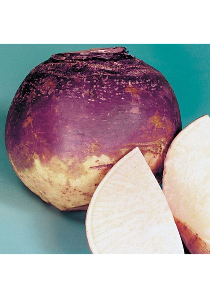 Doğal Purple Top Amrikano Şalgam Tohumu( 30 Tohum)