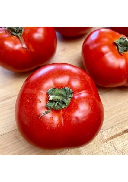 Yüksek Verimli Kırmızı Seren F1 Etli Oturak Domates Tohumu (10 Tohum)