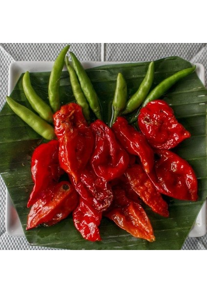 Doğal Dünyanın En Acı Biber Tohumu(Bhut Jolokia) 4 Tohum