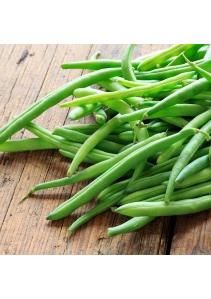 Ata Tohumları Geleneksel Kılçıksız Simbo Oturak Tipi Fasulye Oturak Tohumu(20 Tohum)