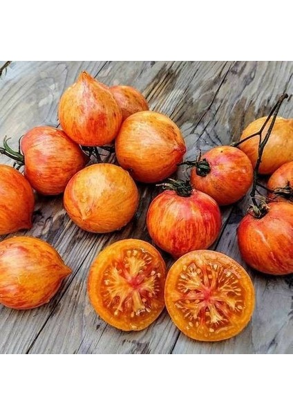 Kozula 133 Kalp Şeklinde Etli Domates Tohumu (15 Tohum)