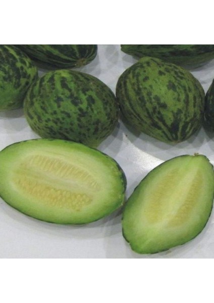 Ata Tohumları Geleneksel Meriç Turşuluk Kavun Tohumu (20 Tohum)