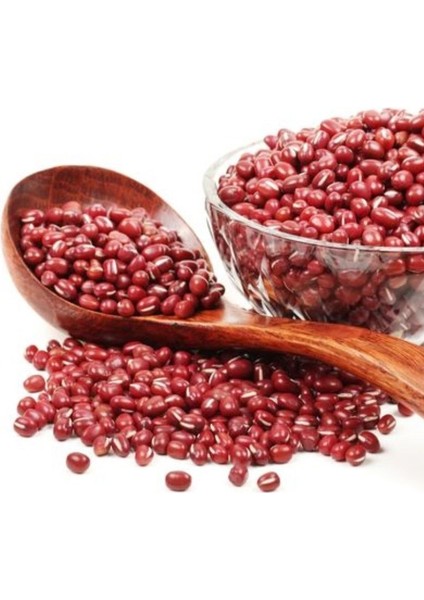 Geleneksel Mexica Red Bean Kırmızı Oturak Fasulye Tohumu (10 Tohum)