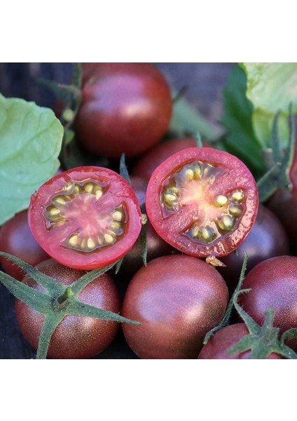 Nadir Black Cherry Siyah Domates Tohumu (15 Tohum) fiyatları