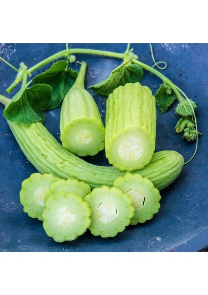 Iri Meyveli Armenian Acuru Tohumu (20 Adet)