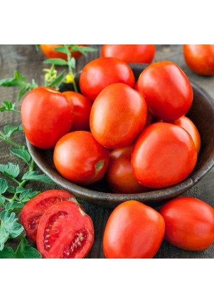 Ata Tohumları Geleneksel Roma Organic Domates Tohumu(20 Adet)