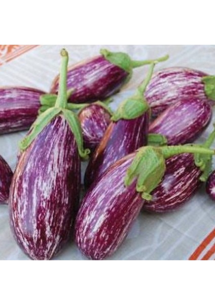 Ata Tohumları Geleneksel Az Çekirdekli Manisa Çizgili Patlıcan Tohumu (70 Tohum)