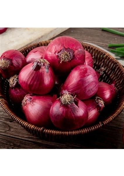 Ata Tohumları Geleneksel Yüksek Aromalı Ata 19 Kırmızı Çorum Tipi Soğan Tohumu(50 Tohum)