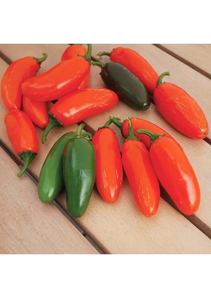 Geleneksel Çok Acı Gialla Jalapeno Biber Tohumu (10 Tohum)