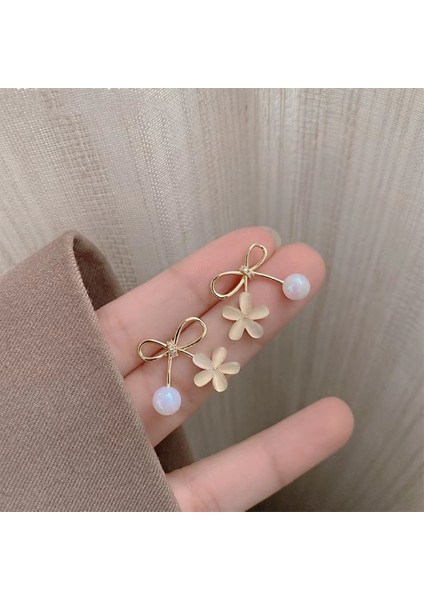 Hengshan Yeni Zarif Küpeler, Popüler Internet Ünlü Küpeleri, Üst Düzey Küpeler, Kişiselleştirilmiş Moda Küpeler (Yurt Dışından)