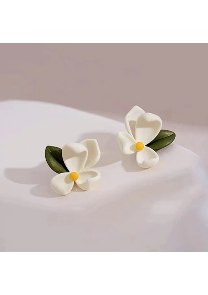 Hengshan Yeni Zarif Küpeler, Popüler Internet Ünlü Küpeleri, Üst Düzey Küpeler, Kişiselleştirilmiş Moda Küpeler (Yurt Dışından)