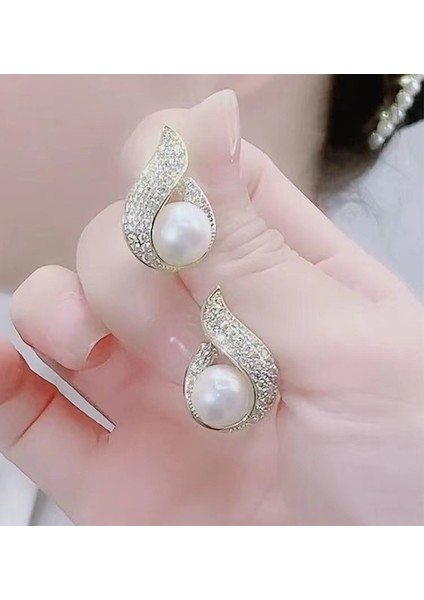 Hengshan Yeni Zarif Küpeler, Popüler Internet Ünlü Küpeleri, Üst Düzey Küpeler, Kişiselleştirilmiş Moda Küpeler (Yurt Dışından)