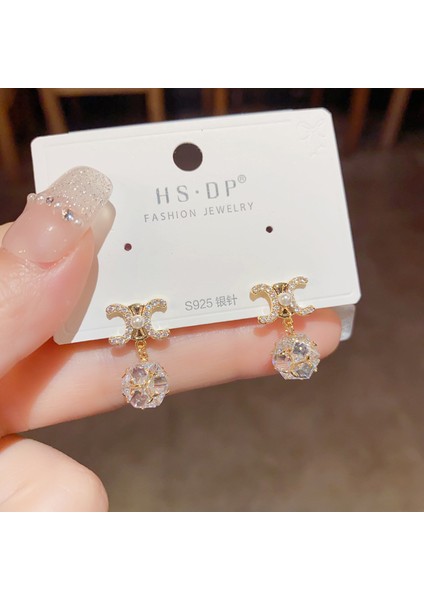 Hengshan Popüler 925 Gümüş Iğne Küpe Klasik Geometrik Uzun Püskül Küpe (Yurt Dışından)