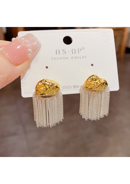 Hengshan Popüler 925 Gümüş Iğne Küpe Klasik Geometrik Uzun Püskül Küpe (Yurt Dışından)