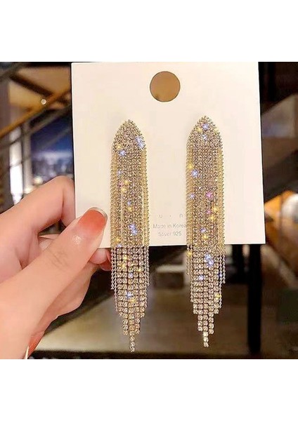 Hengshan Üst Düzey ve Atmosferik Internet Ünlü Mizaç Küpeleri Avrupa ve Amerikan Modası Abartılı Elmas Taklidi Uzun Püskül Küpeler (Yurt Dışından)