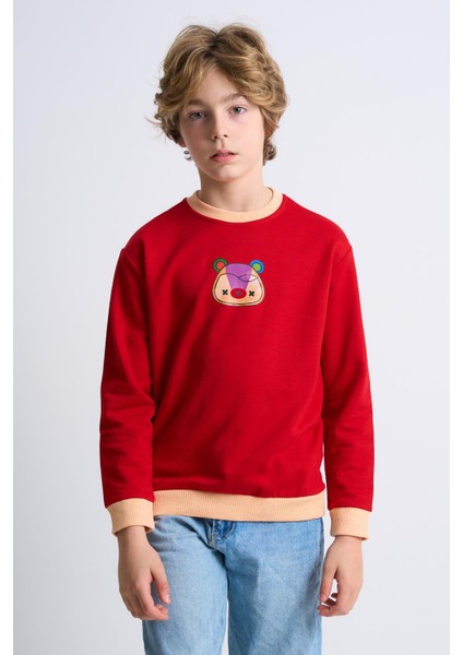 Desenli Çocuk Sweatshirt (C23-0010U)