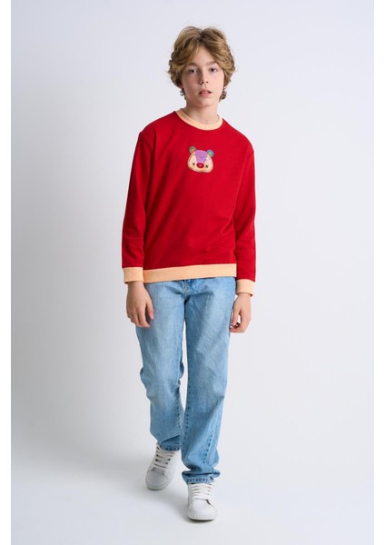 Desenli Çocuk Sweatshirt (C23-0010U)
