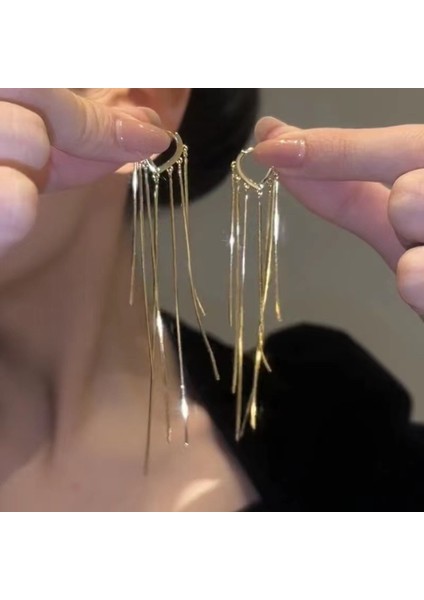 Hengshan Yeni Zarif Küpeler, Popüler Internet Ünlü Küpeleri, Üst Düzey Küpeler, Kişiselleştirilmiş Moda Küpeler (Yurt Dışından)