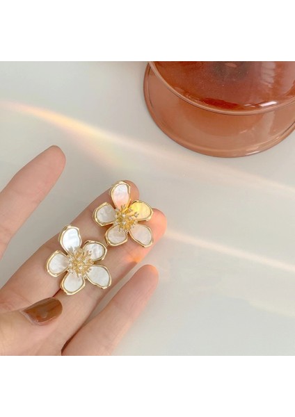 Hengshan Yeni Zarif Küpeler, Popüler Internet Ünlü Küpeleri, Üst Düzey Küpeler, Kişiselleştirilmiş Moda Küpeler (Yurt Dışından) fırsatları