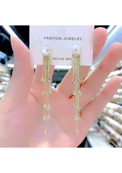 Hengshan Üst Düzey ve Atmosferik Internet Ünlü Mizaç Küpeleri Avrupa ve Amerikan Modası Abartılı Elmas Taklidi Uzun Püskül Küpeler (Yurt Dışından)