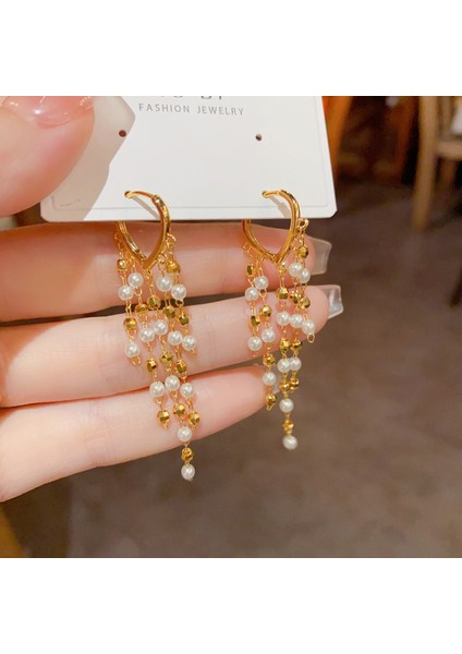 Hengshan Popüler 925 Gümüş Iğne Küpe Klasik Geometrik Uzun Püskül Küpe (Yurt Dışından)