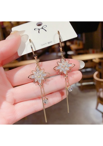 Hengshan Popüler 925 Gümüş Iğne Küpe Klasik Geometrik Uzun Püskül Küpe (Yurt Dışından)