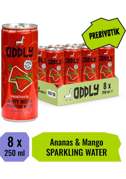 Mınty Melon Karpuz Nane Kutu 250 ml x 8 Adet