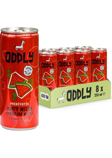 Mınty Melon Karpuz Nane Kutu 250 ml x 8 Adet