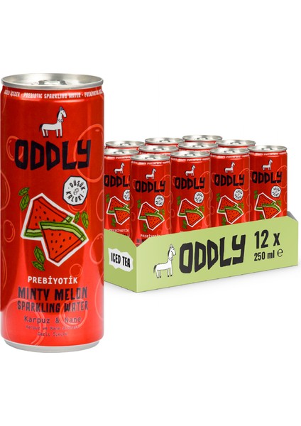 Mınty Melon Karpuz Nane Kutu 250 ml x 12 Adet