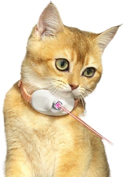 Kedi Oyuncakları, Lazer Evcil Hayvan Tasmaları, Kedi Kendi Kendine Eğlence ve Kedi Eğlence Çubukları, Kedi Lazer Kalemi (Yurt Dışından)