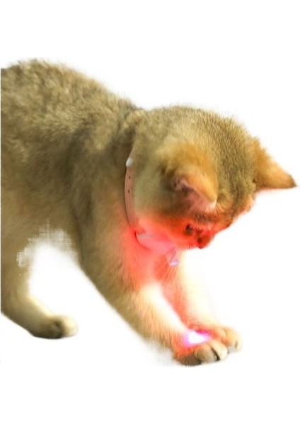 Kedi Oyuncakları, Lazer Evcil Hayvan Tasmaları, Kedi Kendi Kendine Eğlence ve Kedi Eğlence Çubukları, Kedi Lazer Kalemi (Yurt Dışından)