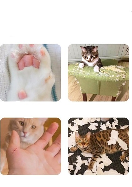 Yeni Yaratıcı Kedi Tırmalama Tahtası Evcil Hayvan Malzemeleri Dekompresyon Pençe Taşlama Oluklu Kağıt Kedi Özel Oyuncak Malzemeleri (Yurt Dışından)