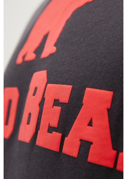 Bear Tee King Size Raven Erkek Tişörtü fiyatları