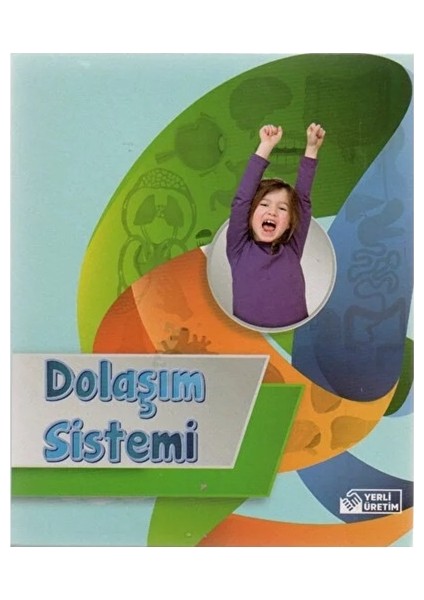 Dolaşım Sistemi Kutulu - 2 Adet