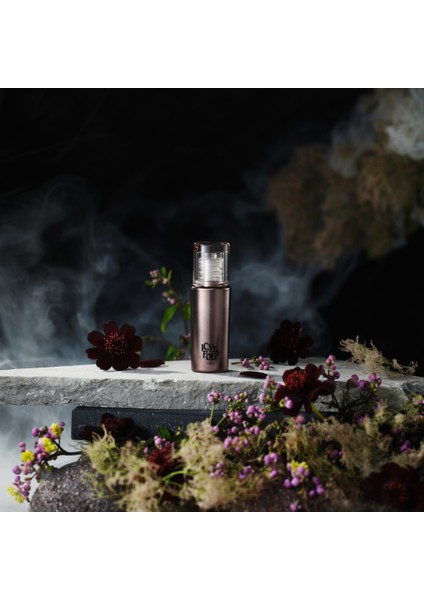 Saten Bitişli Yoğun Pigmentli ve Kalıcı Dudak Parlatıcısı Tint FV06 Maroon Plum 3.5 gr fırsatları