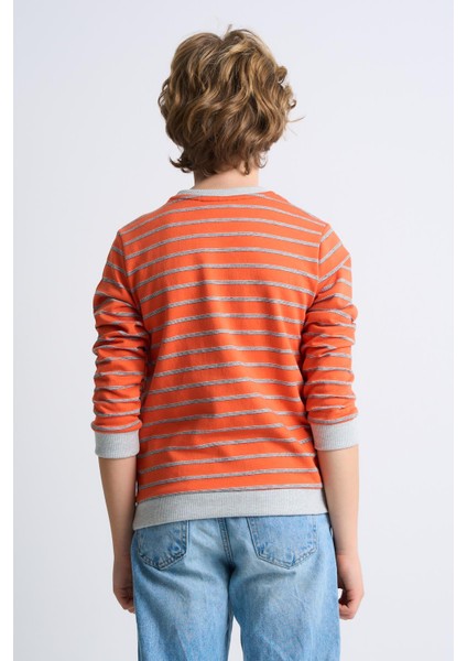 Alexandergardı Çizgili Bisiklet Yaka Çocuk Sweatshirt