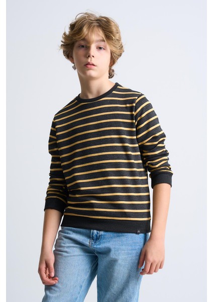 Alexandergardı Çizgili Bisiklet Yaka Çocuk Sweatshirt