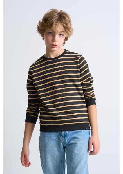 Alexandergardı Çizgili Bisiklet Yaka Çocuk Sweatshirt modelleri