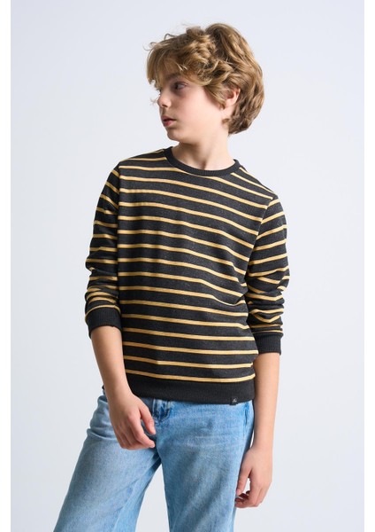 Alexandergardı Çizgili Bisiklet Yaka Çocuk Sweatshirt fırsatları