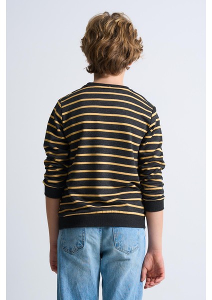 Alexandergardı Çizgili Bisiklet Yaka Çocuk Sweatshirt indirimleri