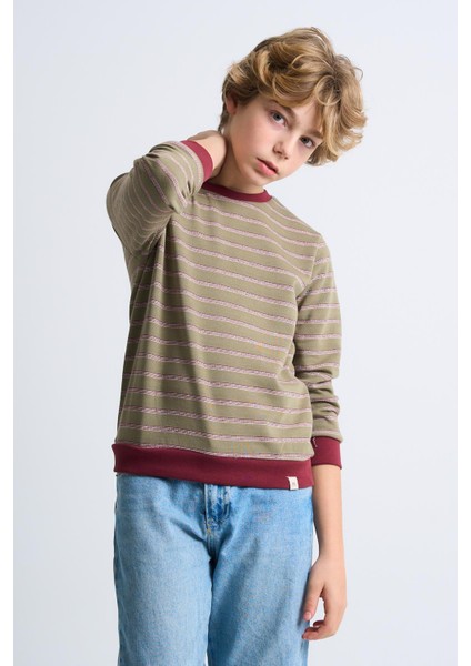 Alexandergardı Çizgili Bisiklet Yaka Çocuk Sweatshirt