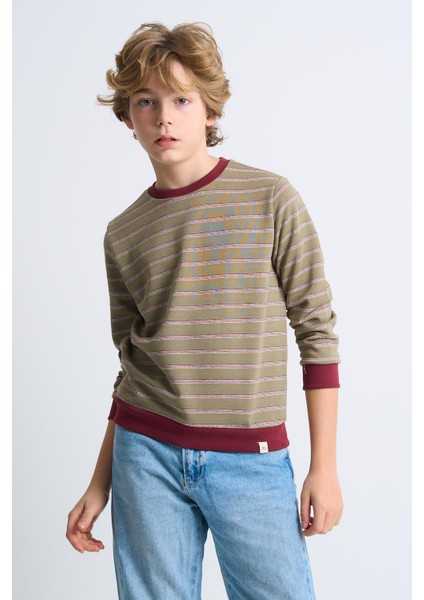 Alexandergardı Çizgili Bisiklet Yaka Çocuk Sweatshirt fiyatları