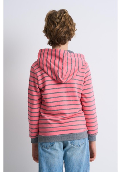 Alexandergardı Kanguru Cepli Kapüşonlu Çizgili Çocuk Sweatshirt fırsatları