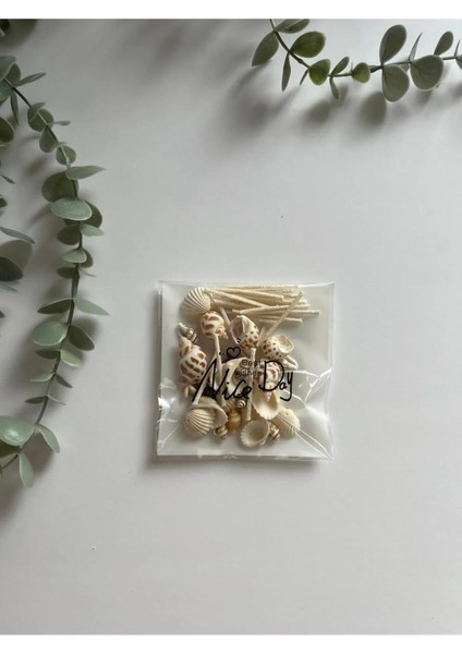 Inci Tozu Mum (150GR) ve Dekoratif Deniz Kabukları (20 Tane 4 cm Fitil) fiyatları