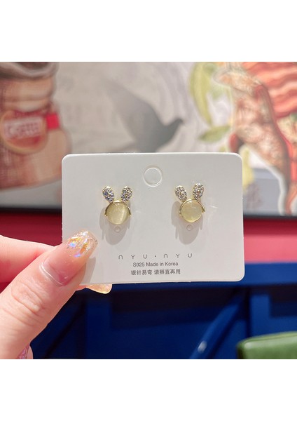 Hengshan Gümüş Iğne Seti Kedi Gözü Küpeler, Üst Düzey, Modaya Uygun ve Çok Yönlü, Hafif Lüks Küpeler, Sade ve Zarif Zirkon Küpeler (Yurt Dışından)